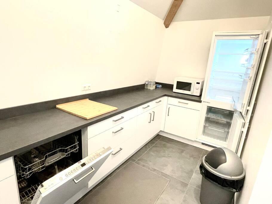 Penthouse 3 Bedrooms In Center W. Private Garden Apartment Luxemburg